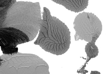 Beyaz kağıda akrilik renkler çizdim ve kağıdı karıştırılmış akrilik renklerin dokusunu oluşturan rorschach mürekkep lekesine benzer şekilde katladım..