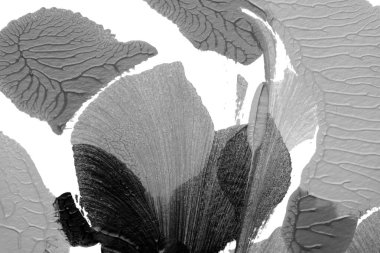 Beyaz kağıda akrilik renkler çizdim ve kağıdı karıştırılmış akrilik renklerin dokusunu oluşturan rorschach mürekkep lekesine benzer şekilde katladım..