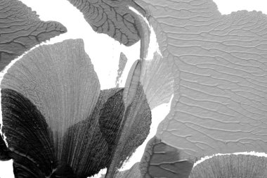 Beyaz kağıda akrilik renkler çizdim ve kağıdı karıştırılmış akrilik renklerin dokusunu oluşturan rorschach mürekkep lekesine benzer şekilde katladım..