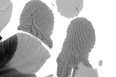 Beyaz kağıda akrilik renkler çizdim ve kağıdı karıştırılmış akrilik renklerin dokusunu oluşturan rorschach mürekkep lekesine benzer şekilde katladım..