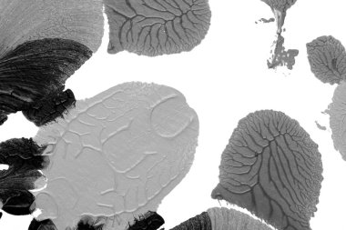 Beyaz kağıda akrilik renkler çizdim ve kağıdı karıştırılmış akrilik renklerin dokusunu oluşturan rorschach mürekkep lekesine benzer şekilde katladım..