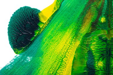 yeşil sarı ve kahverengi soyut akrilik boya renk dokusu beyaz kağıt arkaplan üzerinde rorschach mürekkep lekesi yöntemi kullanılarak