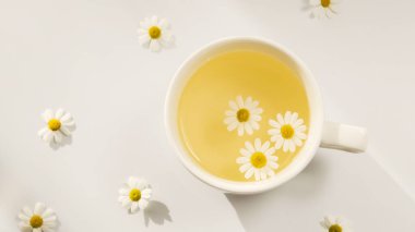 A cup of chamomile tea on a white background with flower buds inside. Soothing and healing natural herbal infusion. Flat lay, top view.