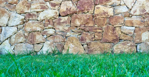 Mur de pierre et herbe verte — Photo