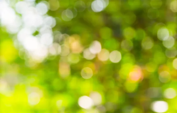 Green bokeh from tree. — Stock Photo, Image