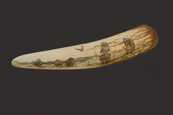 Engraving on mammoth tusk — Stock Photo, Image