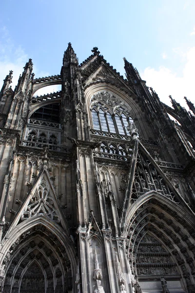 Cathédrale de Cologne — Photo