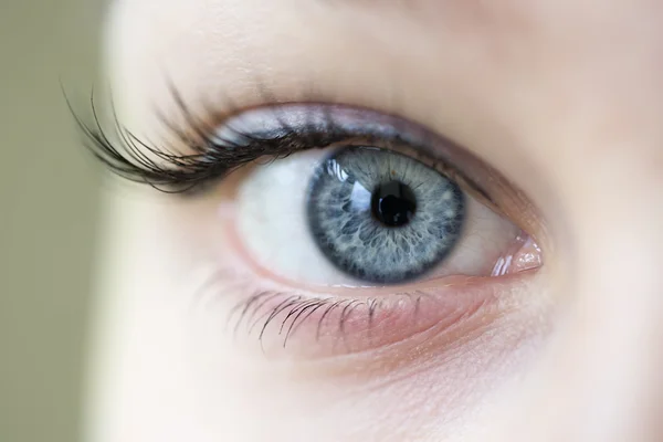 Blaues Auge mit langen Wimpern — Stockfoto