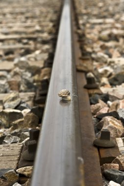 salyangoz izle trende