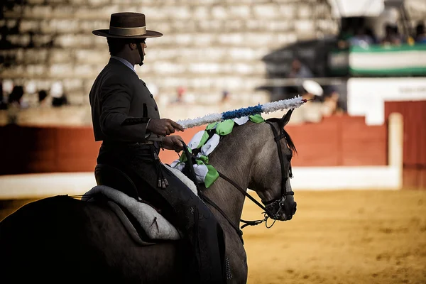 Stierkämpfer zu Pferd spanisch, spanisch — Stockfoto