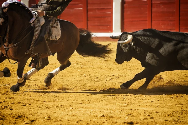 Odvážný býk honí koně během bullfight, Španělsko — Stock fotografie