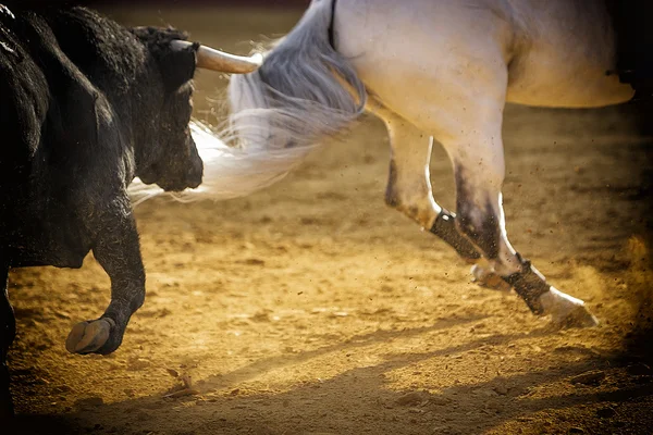 Dappere stier jagen paard tijdens een stierengevecht, Spanje — Stockfoto