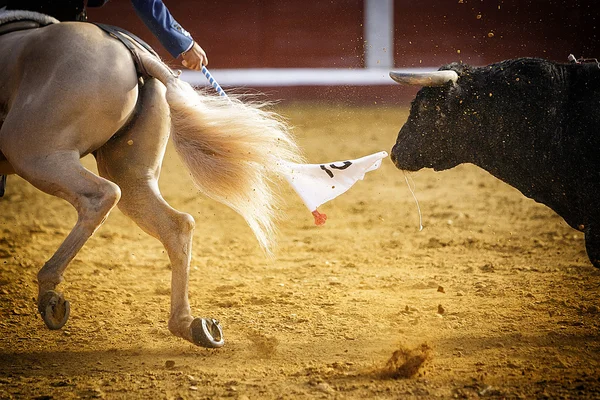 Toro valiente persiguiendo caballo —  Fotos de Stock