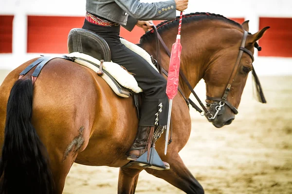 Stierenvechter op een paard Spaans — Stockfoto