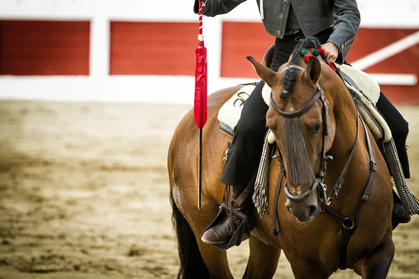 Bullfighter on horseback spanish — Stock Photo, Image