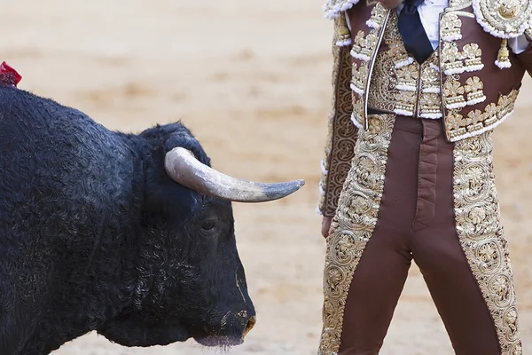 Bullfighter muito perto do touro — Fotografia de Stock