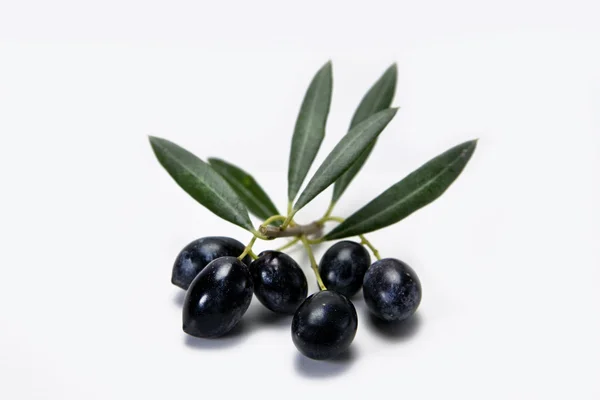 Aceitunas negras maduras con hojas sobre fondo blanco — Foto de Stock