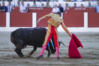 İspanyol Boğa güreşçisi jose maria manzanares, boğa güreşi, linares bullring