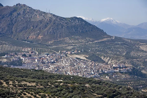 Vista panoramica della città di Quesada tra campi di ulivi — Foto Stock