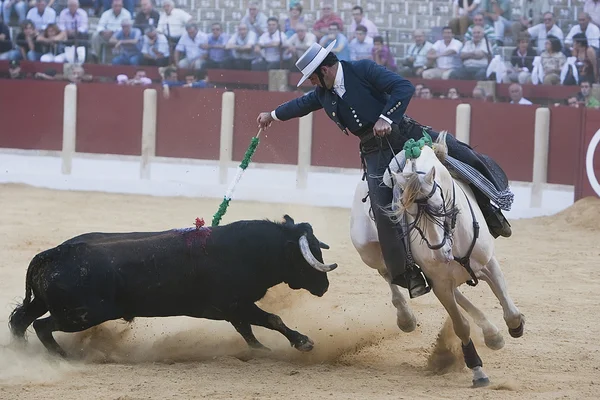 阿尔瓦罗 · 蒙特斯，骑在马背上的斗牛士西班牙语 — 图库照片