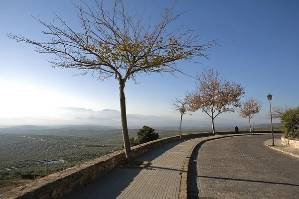 Leta från Úbeda vid solnedgången, staden kulturarv för mänskligheten, antonio muuoz molina promenad, ubeda, jaen provinsen, Andalusien, Spanien看日落的建筑群、 人性、 安东尼奥 · muuoz · 莫利纳步行、 建筑群、 哈恩省、 安大路西亚，西班牙的城市遗产 — Stockfoto