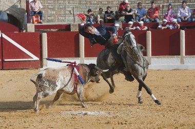 at sırtında matador İspanyolca