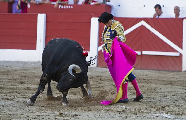 De Spaanse stierenvechter curro diaz stierenvechten met de kruk in de arena van linares — Stockfoto