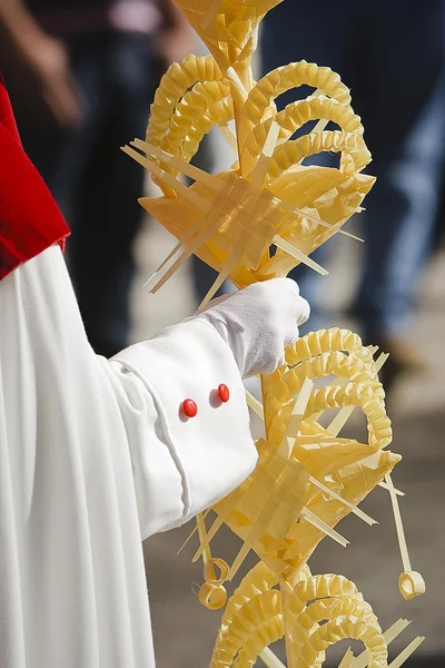 Detail penitent holding a palm during Holy Week on Palm sunday — Stock Photo, Image