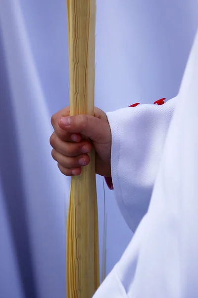 Detail penitent holding a palm during Holy Week on Palm sunday — Stock Photo, Image