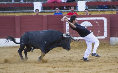 İspanyol recortador gerçekleştirilen