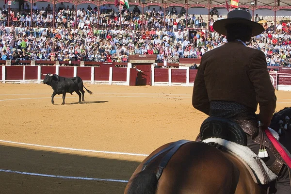 骑在马背上的斗牛士西班牙语 — 图库照片