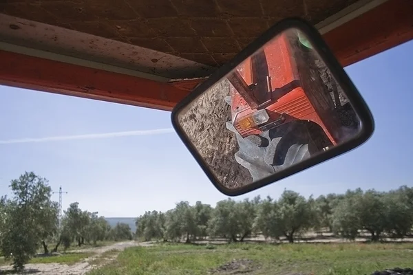 Reflection in a mirror of a tractor in a field of olive trees — Stock Photo, Image