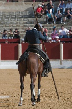 at sırtında İspanyol cadı garrocha üzerinde Boğa güreşçisi