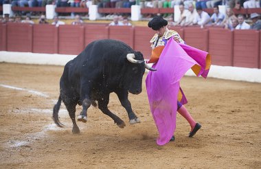 İspanyol Boğa güreşçisi jose maria manzanares boğa güreşi andujar Arena içinde koltuk değneği ile
