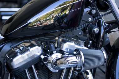 Motosiklet'ın krom motoru