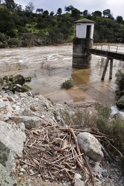 nehir jandula encinarejo yılında doğum kontrol kulesi