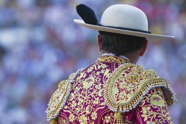 Picador Boğa güreşçisi