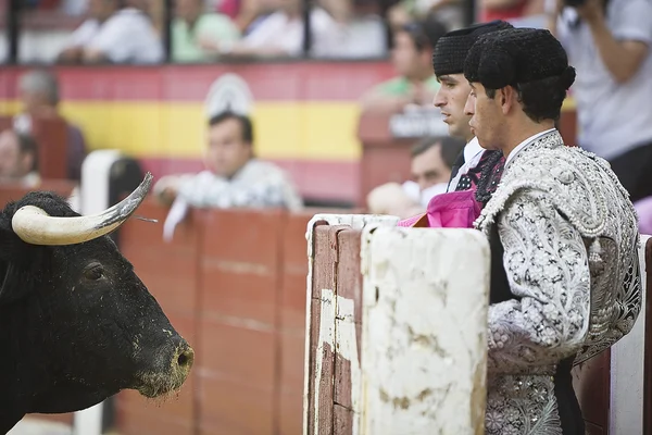 Bullfighters behind the refuge before the look of the brave bull — Stock Photo, Image