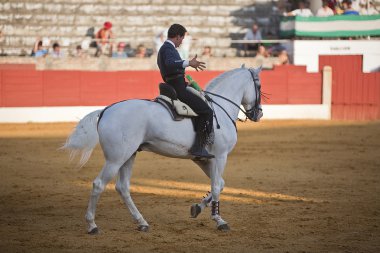 Leonardo hernandez, at sırtında matador İspanyolca