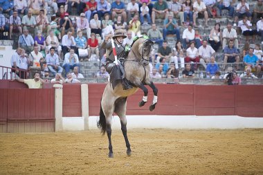 Alvaro montes, at sırtında matador İspanyolca