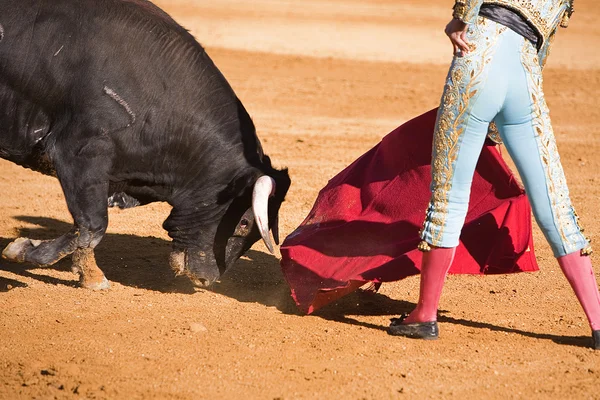 Bullfighter with the Cape in the Bullfight — Stock Photo, Image