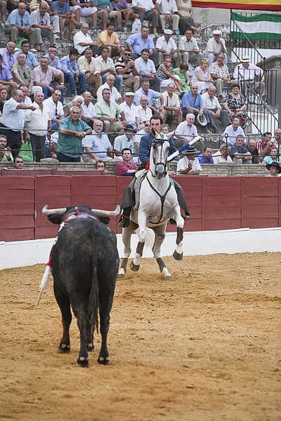 アンディ カルタヘナ、馬に乗っての闘牛士スペイン語 — ストック写真