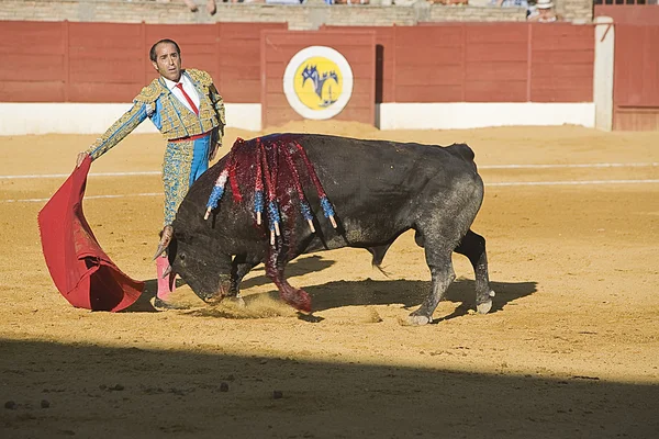 Il torero spagnolo Luis Francisco Espla corrida con la stampella nel Bullring — Foto Stock