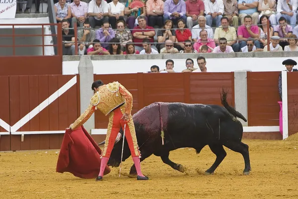 Il torero spagnolo Enrique Ponce corrida con la stampella nel Bullring del Pozoblanco — Foto Stock