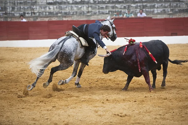 Leonardo Hernandez, tyrefægter på hesteryg spansk - Stock-foto