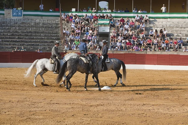 Antonio Domecq, Leonardo Hernandez e Andy Cartagena, toreri a cavallo spagnoli — Foto Stock