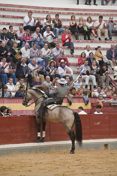 Alvaro montes, toreador na koni španělské dává divákům — Stock fotografie