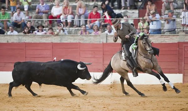 Alvaro montes, at sırtında matador İspanyolca — Stok fotoğraf