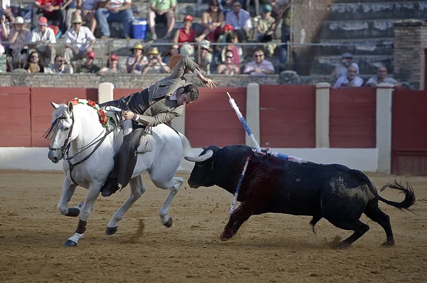 アルバロ モンテス、馬に乗っての闘牛士スペイン語 — ストック写真