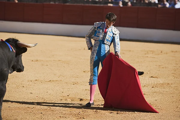 Tauromachie à Baeza aux nouvelles valeurs des écoles taurines andalouses — Photo